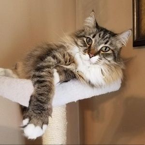 Meet your Posher, Reece